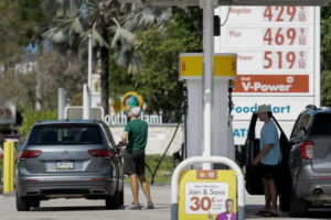 Untitled design (12)